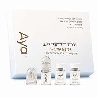 מערכת המיקרונידלינג